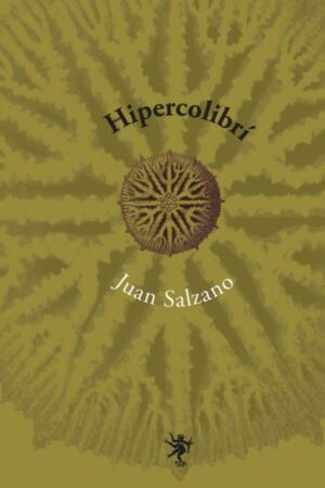 Hipercolibrí