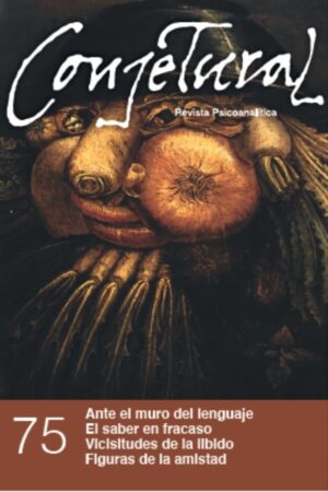 Revista Conjetural N°75