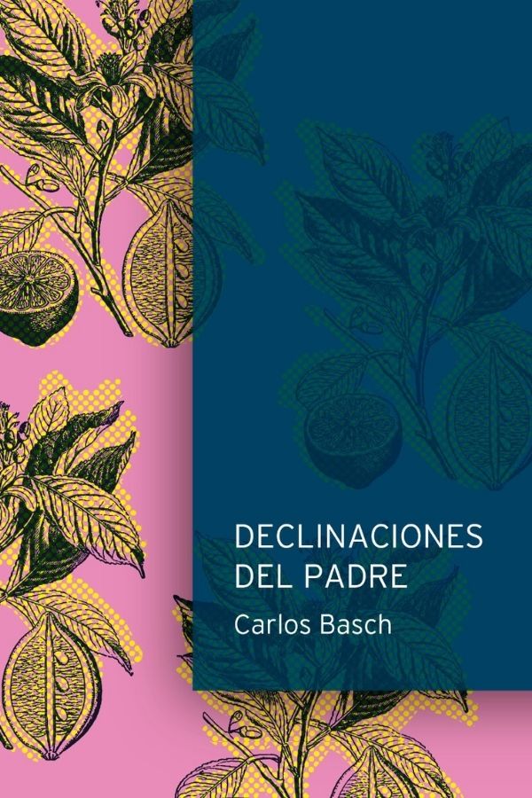 Declinaciones del padre