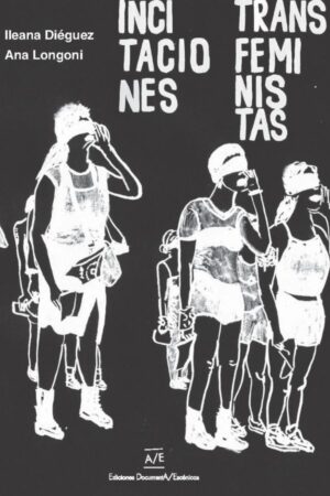 Incitaciones transfeministas