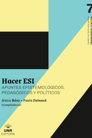 Hacer ESI: apuntes epistemológicos, pedagógicos y políticos