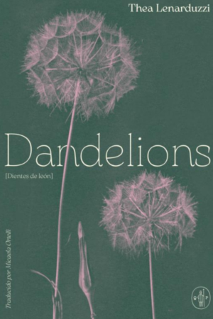 Dandelions
