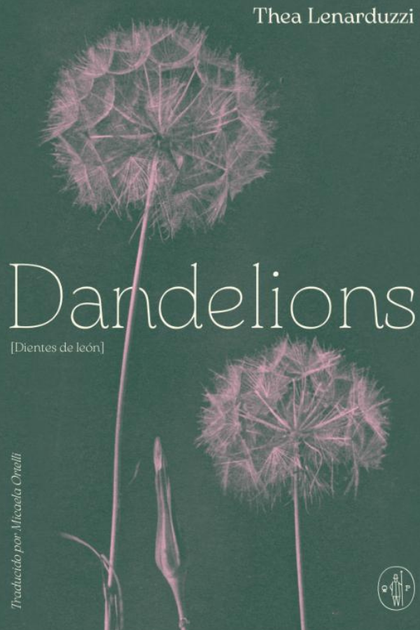 Dandelions