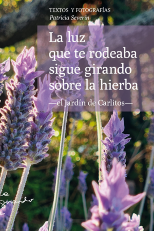 La luz que te rodeaba sigue girando sobre la hierba