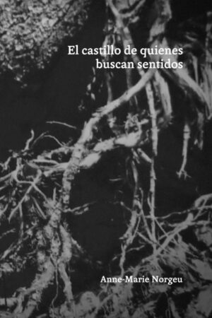 El castillo de quienes buscan sentidos