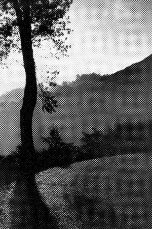 Entre la lumbre y la penumbra